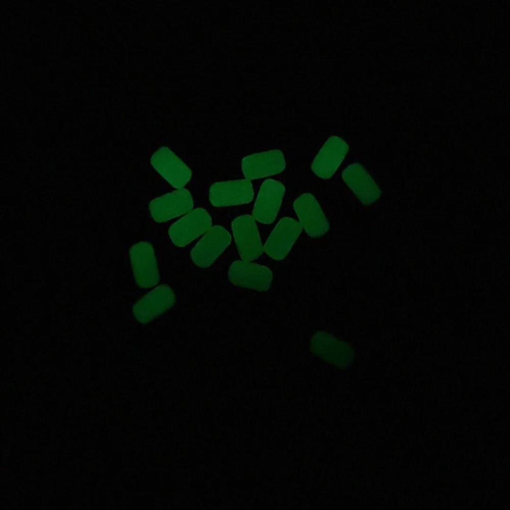 100Pcs/Bag Luminous Fishing So - Fishing Lure Making Kit 评论和价格